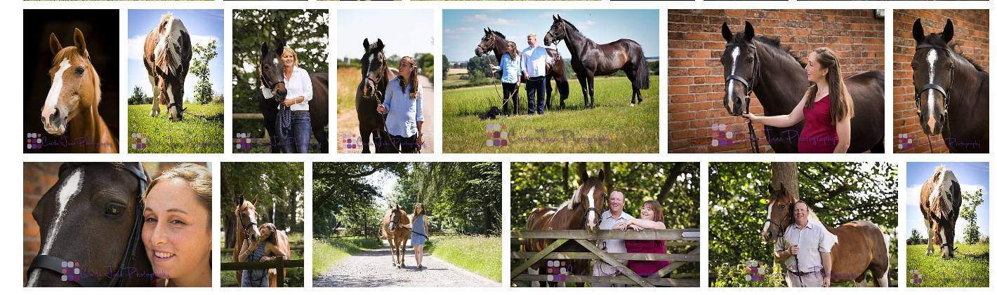 We're still open for business-Covid 19 Update Horse/Equine Photoshoots 